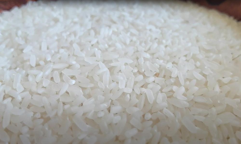 俄乌冲突升级，稻米市场淡定