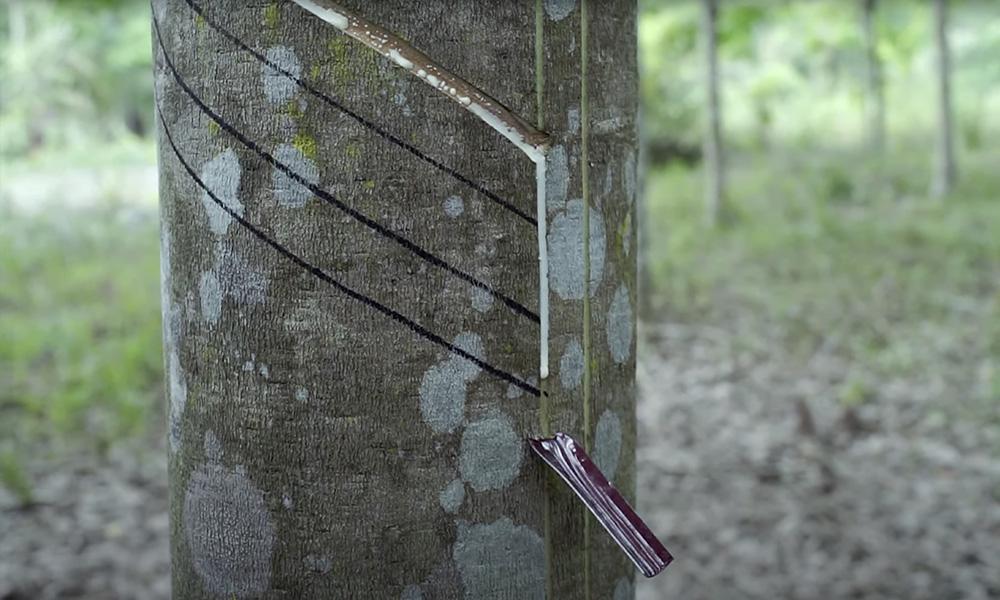 农产品期货及能源化工期货日评