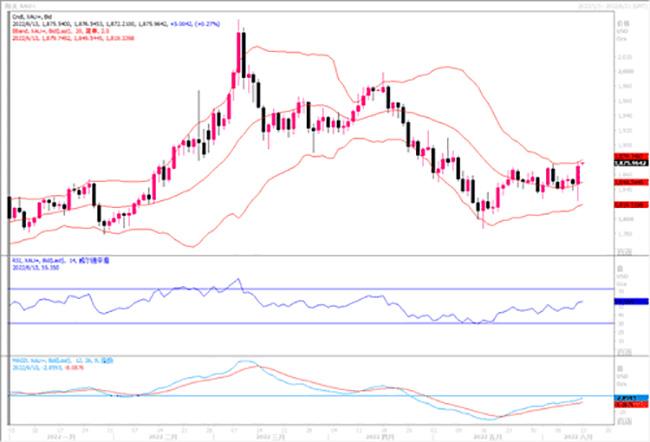 黄金市场分析：美国CPI创逾40年新高 黄金强烈震荡收高