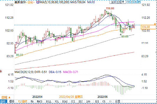 股神加仓 价格飙涨 “石油危机”来的是不是有点早？